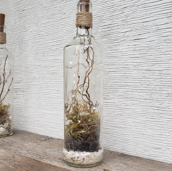 Dried Moss Terrarium Bottle Light (w/ roots and pebbles) - Picture 4 of 8